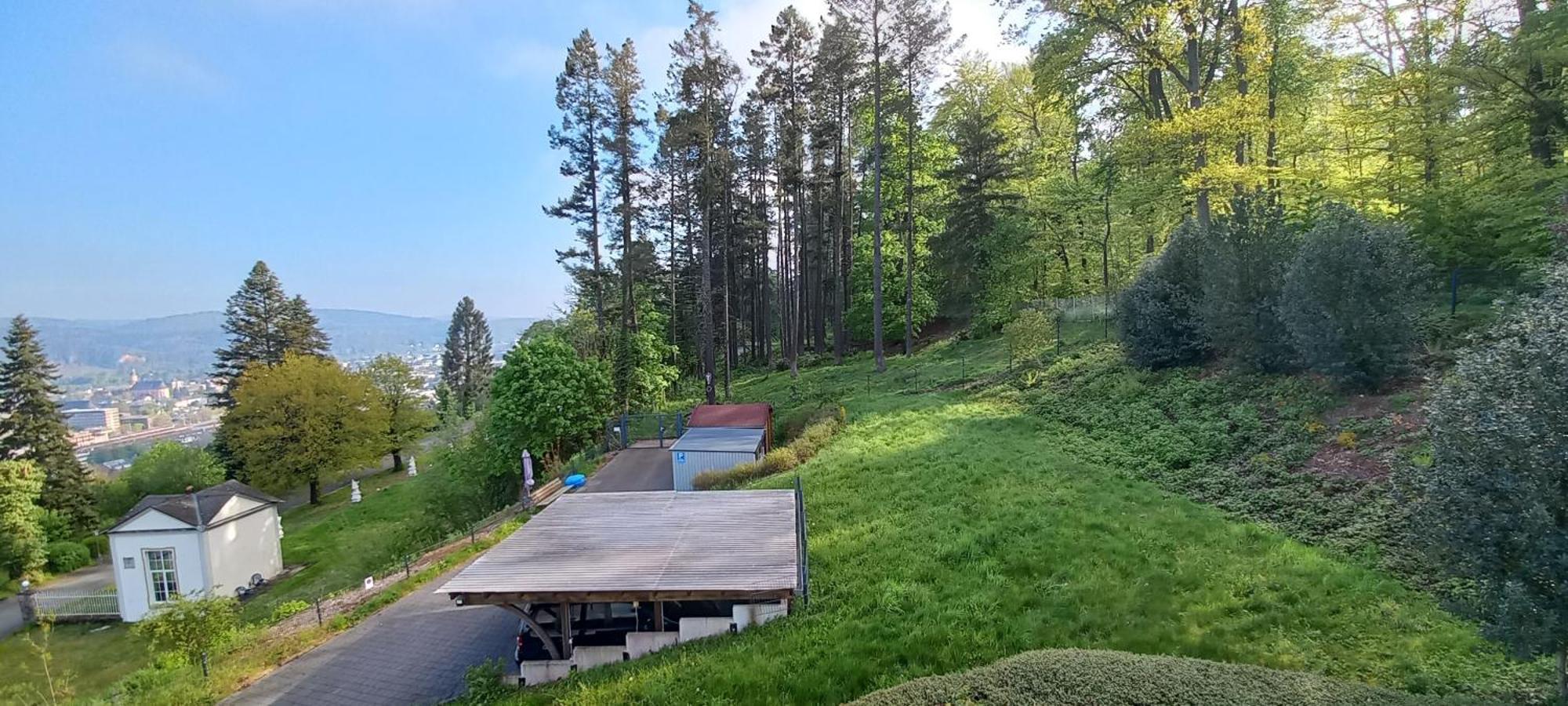 Ferienwohnungen Petrisberg Trier Værelse billede
